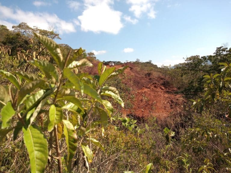 Estrada rasga paisagem nativa em Antônio Pereira. Foto: Marcelo Sena/Agência Primaz