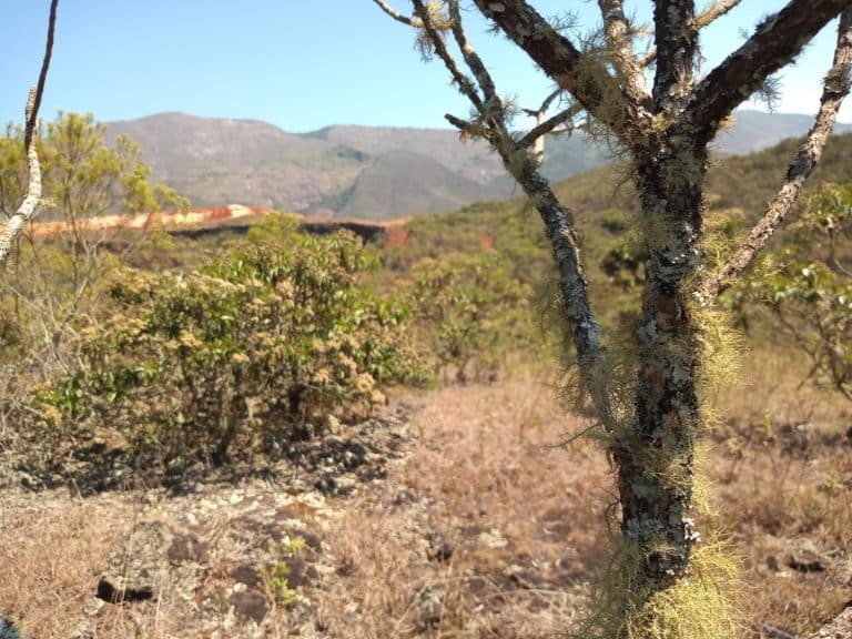 Estrada rasga paisagem nativa em Antônio Pereira. Foto: Marcelo Sena/Agência Primaz