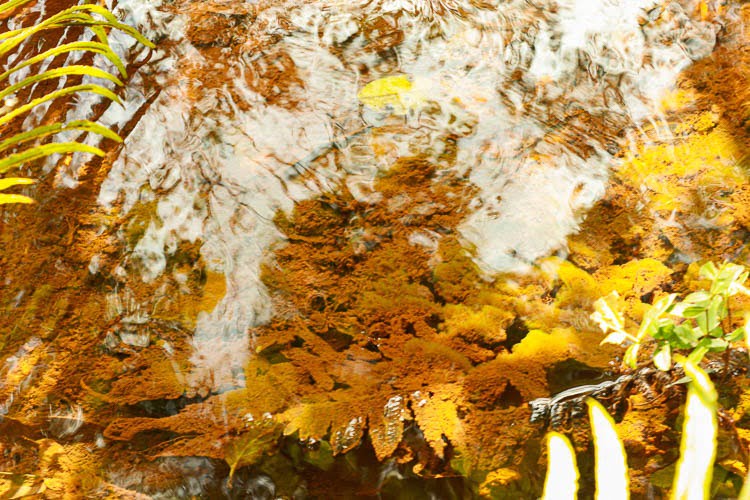 WhatsApp Image 2020-09-21 at 21.03.52