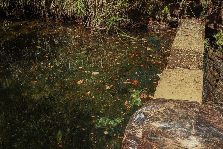 Com água cristalina, é possível enxergar o fundo da barreira construída na Caixa d'água. Foto Lui Pereira/Agência Primaz