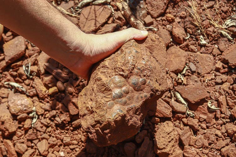 Goethita botrioidal é uma formação de minério de ferro e pode ser facilmente encontrada nessa região. Foto: Lui Pereira/Agência Primaz