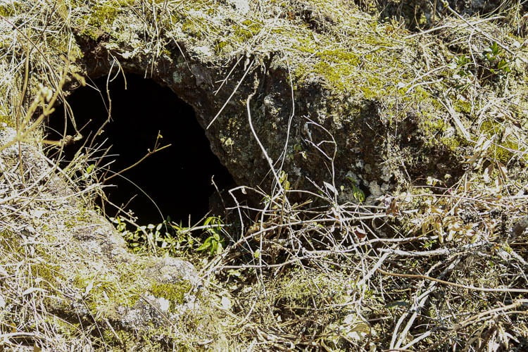 Mesmo estando em área da Vale, cavidades de Antônio Pereira são patrimônio da União. Foto: Lui Pereirasão