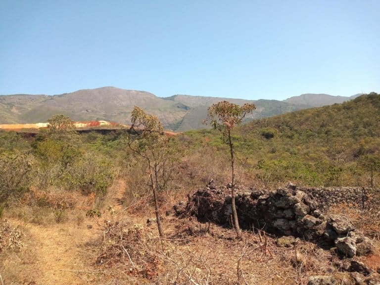 Ruínas da Fazenda dos Pitangui, em Antônio Pereira, distrito de Ouro Preto. Foto: Marcelo Sena/Agência Primaz