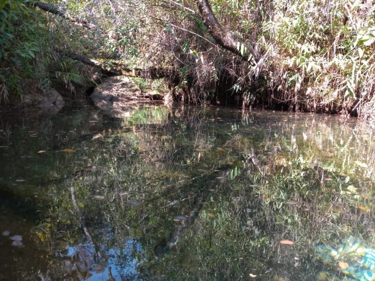 "Caixa d'água que abastece o distrito e está há poucos metros de onde passará a estrada da Vale. Foto: Marcelo Sena/Agência Primaz