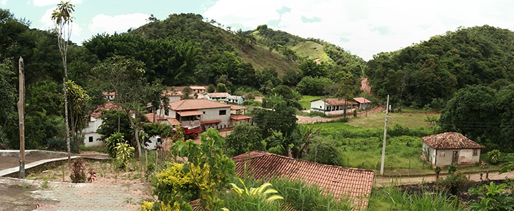 Constantino sofre com isolamento - Foto: Lui Pereira/Agência Primaz