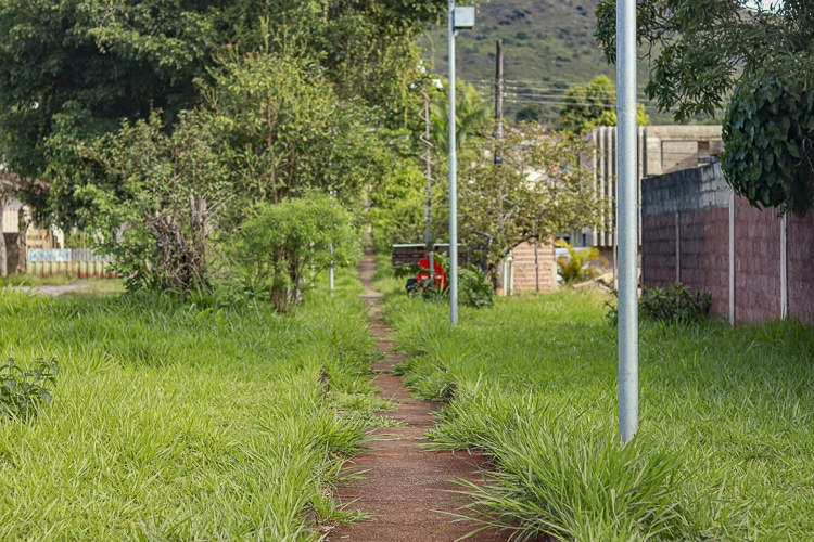 Mato começa a tomar conta das rotas de fuga - Foto: Lui Pereira/Agência Primaz