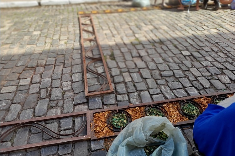 Foto: Luiz Loureiro/Agência Primaz