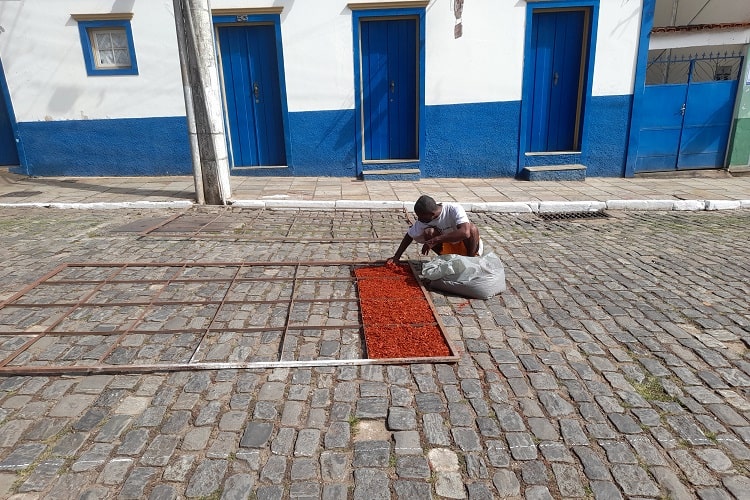 Foto: Luiz Loureiro/Agência Primaz