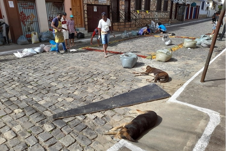 Foto: Luiz Loureiro/Agência Primaz