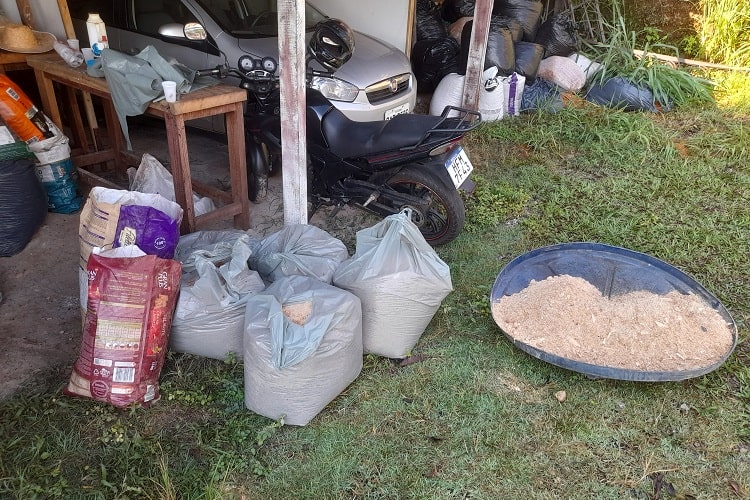 Foto: Luiz Loureiro/Agência Primaz