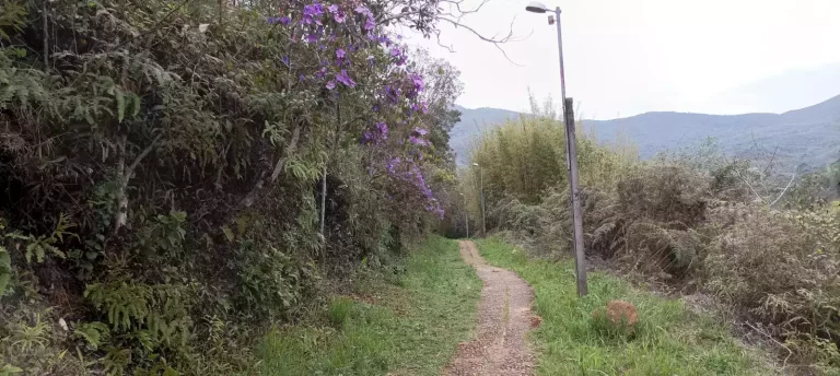 Trecho do chamado Caminho das Moitas, no Campus ICHS da UFOP