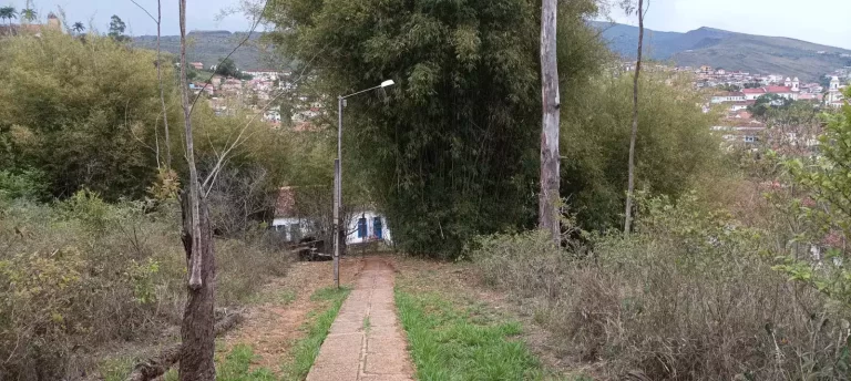 Trecho do chamado Caminho das Moitas, no Campus ICHS da UFOP