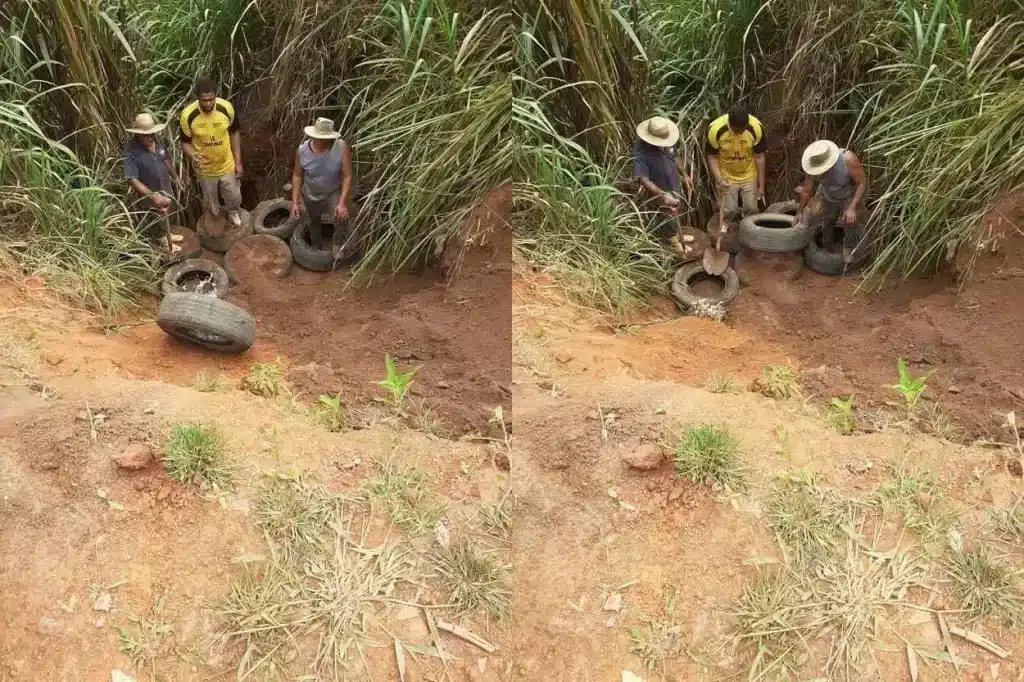 Sequência de fotos do mutirão e aspecto final do local