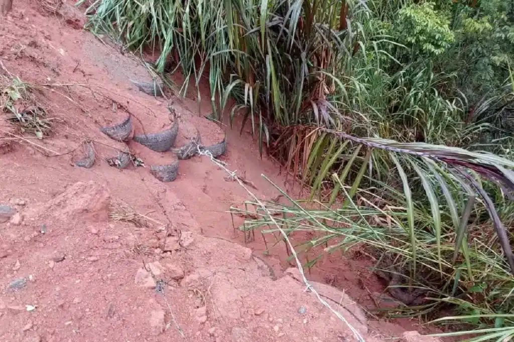 Sequência de fotos do mutirão e aspecto final do local