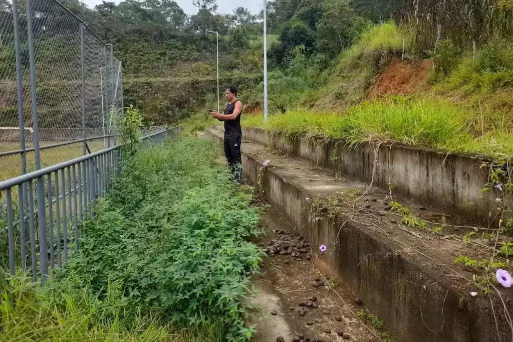 As arquibancadas do campo de Cachoeira do Brumado, construídas em 2020, estão cobertas de mato.