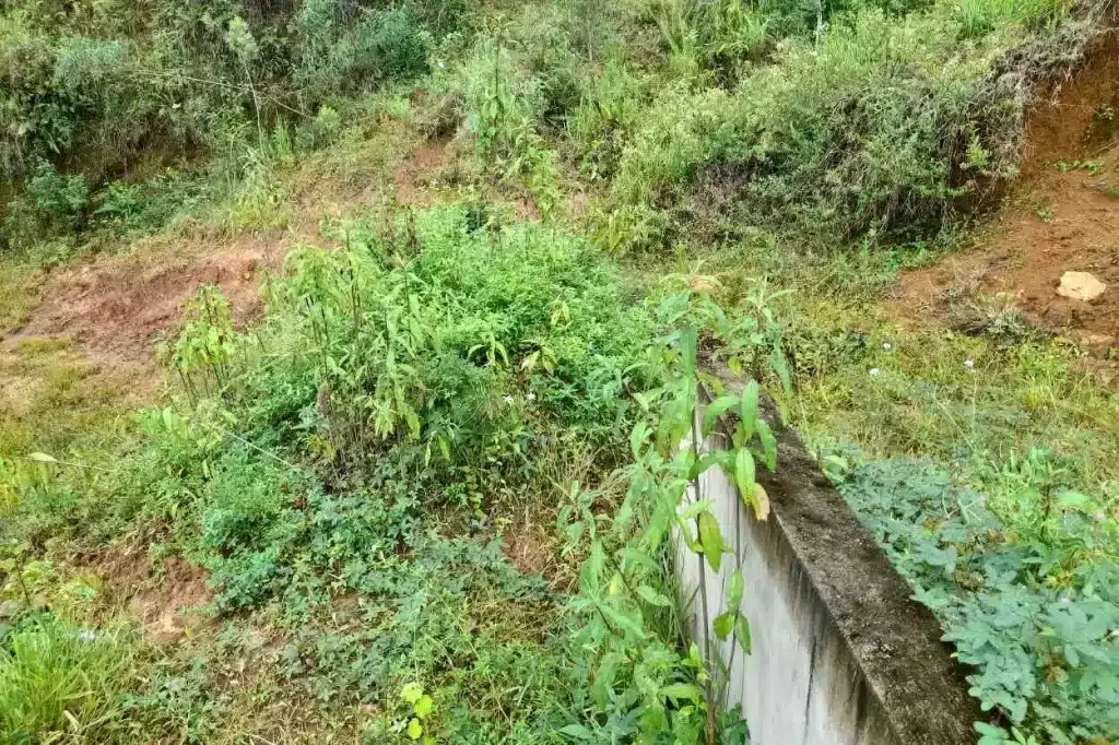 Ao lado do campo existe uma nascente de água