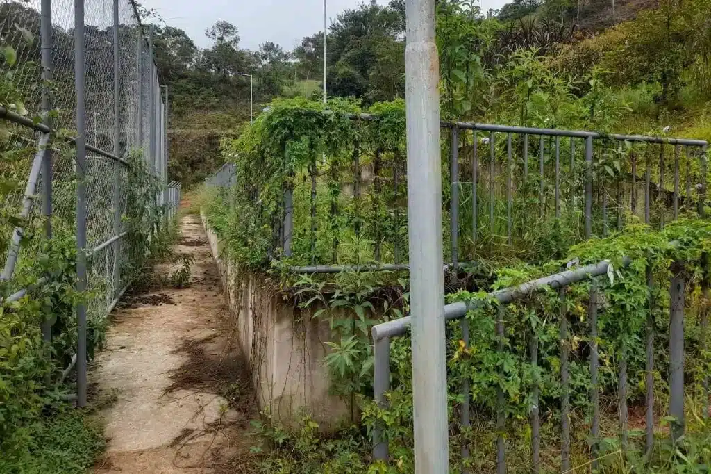 As arquibancadas docampo de Cachoeira do Brumado encontram-se cobertas de mato