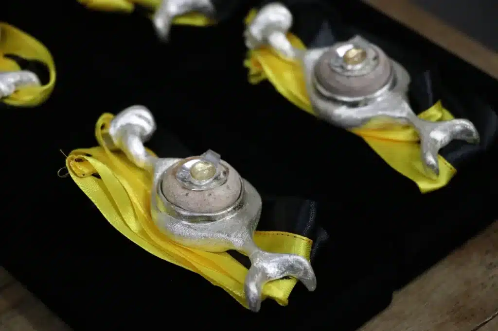 O design da medalha da Comenda Beatriz Francisca de Assis Brandão tem a forma de útero, evidenciando o universo feminino, a fertilidade e a maternidade