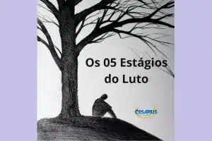 Estágios do luto