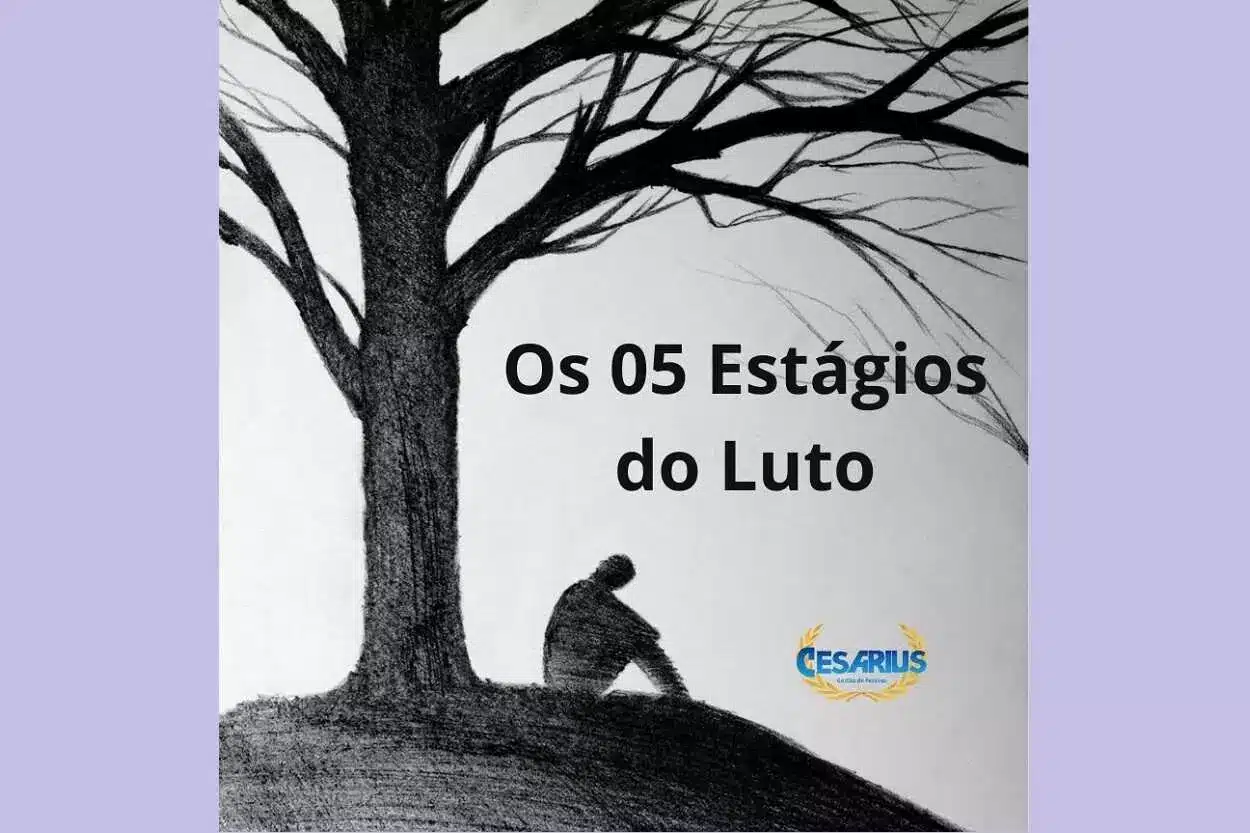 Estágios do luto