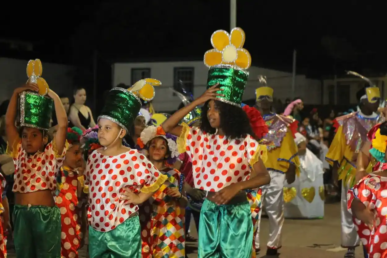 Desfile das escolas de samba no domingo (11) de Carnaval