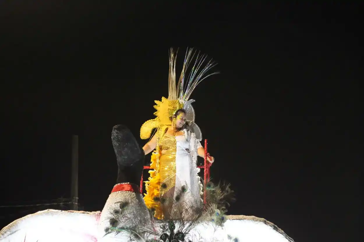 Desfile das escolas de samba - Vila do Carmo