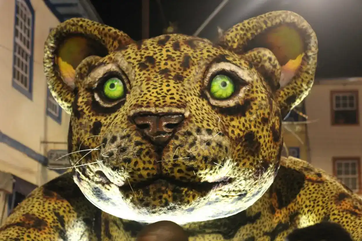 Desfile das escolas de samba - Vila do Carmo