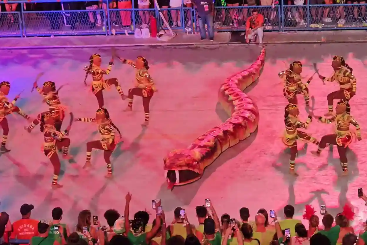 O livro “Sacerdotisas voduns e rainhas do Rosário: Mulheres africanas e Inquisição em Minas Gerais (século XVIII)”, de Aldair Rodrigues e Moacir Maia traz quatro manuscritos dos processos contra essas mulheres, que eram utilizados como uma forma de perseguição.