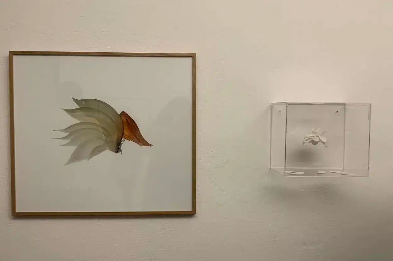 A exposição “Camada por Camada“ une fotografia e bordado