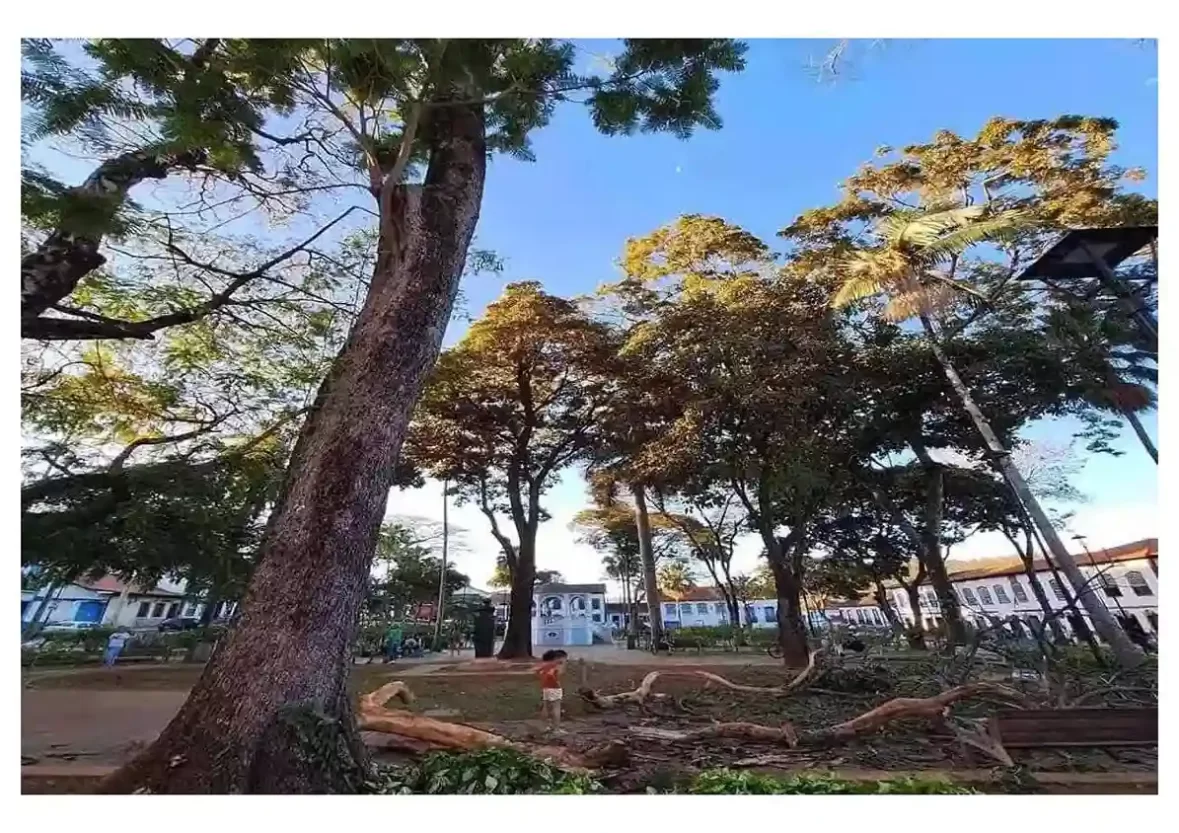 Criança observa o tronco caído no Jardim na última quinta-feira