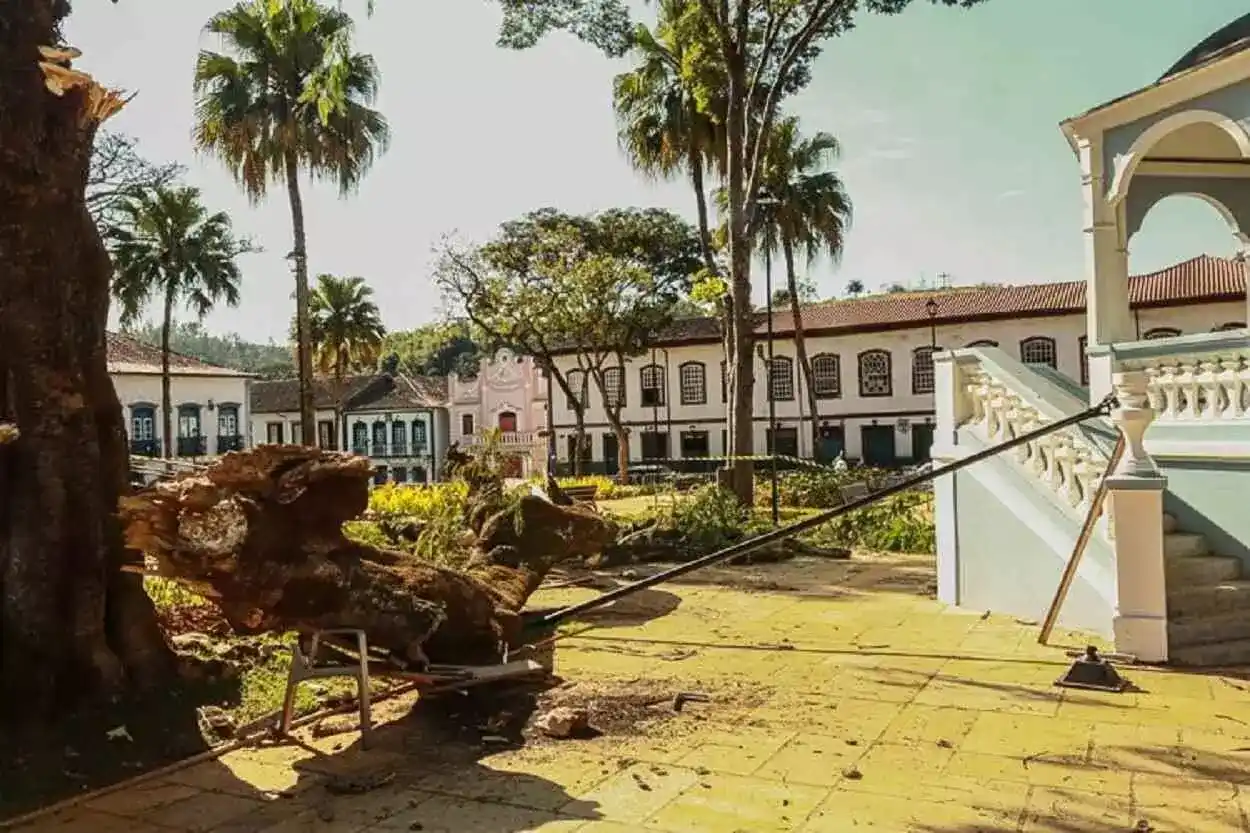 Danos causados no Jardim pela queda de um galho do flamboyant, em 2021