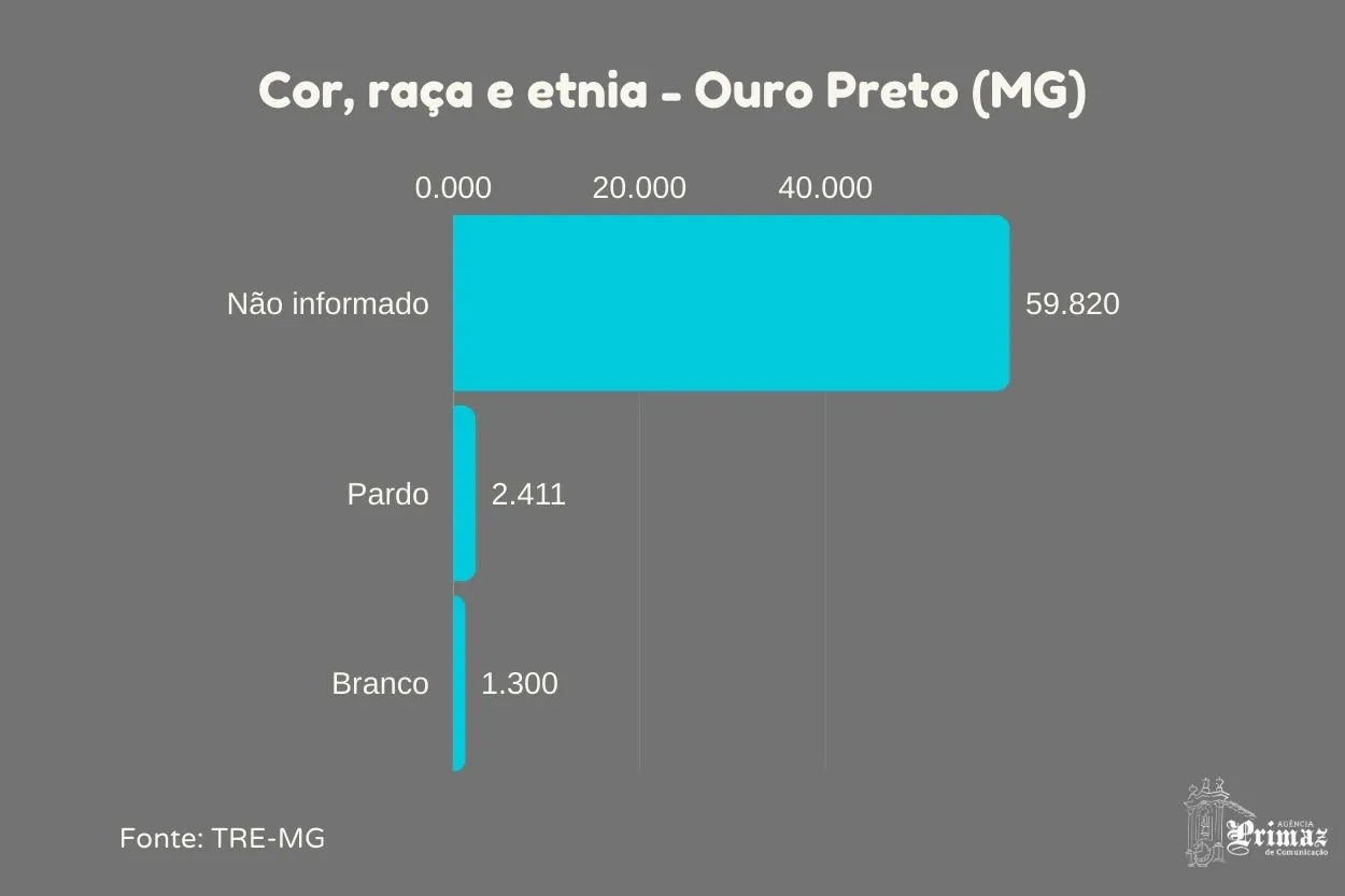 Cor, raça e etnia do eleitorado de Ouro Preto - 1
