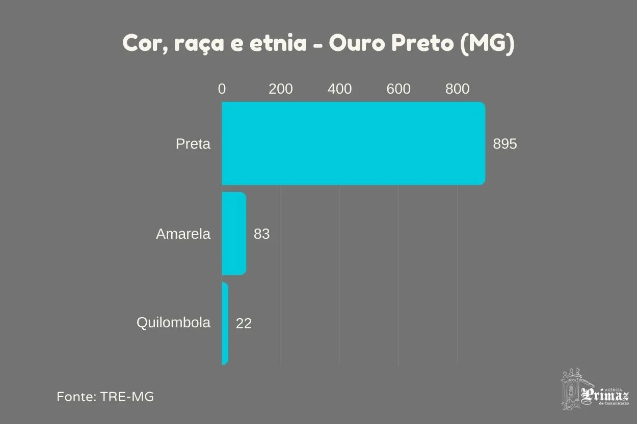 Cor, raça e etnia do eleitorado de Ouro Preto - 2