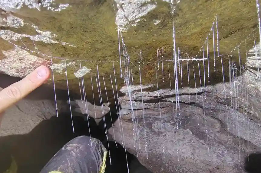 A imagem mostra as larvas de dípteros da família Keroplatidae dentro da nova caverna