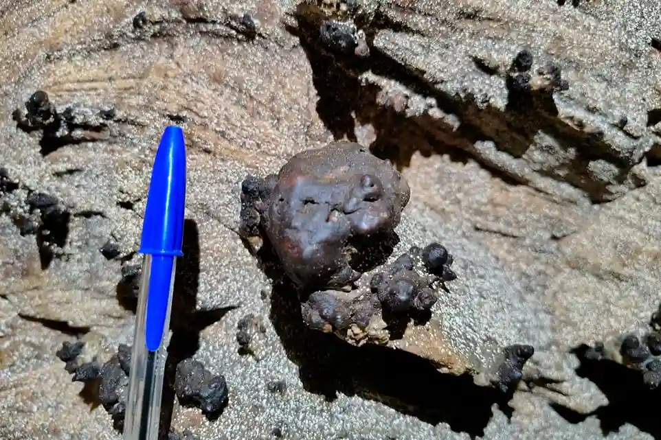Formação geológica coralóide comparada com uma caneta para que se tenha noção de suas dimensões.