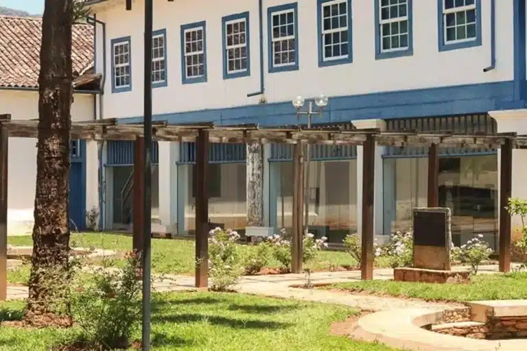 No último domingo (26), um mico morto foi encontrado nos arredores do Instituto de Ciências Sociais (ICHS).