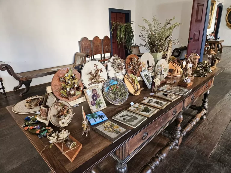 A Câmara de Mariana recebe de 22 a 27 de julho, a exposição “Arte que instiga amor pela natureza”.