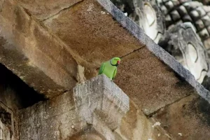 A diversidade humana é uma oportunidade de crescimento e empatia