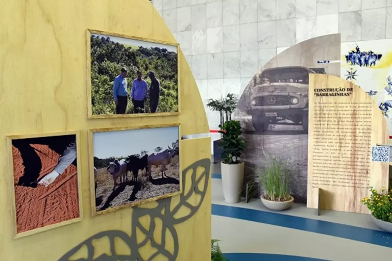 Exposição sobre crise climática na Galeria de Arte da ALMG.