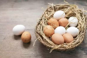 ovo e cesta de ovos