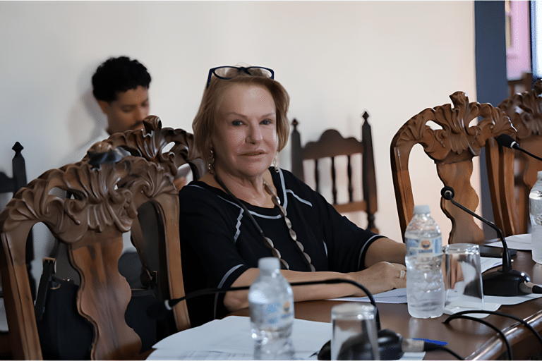 Sônia Azzi sentada no plenário da Câmara Municipal