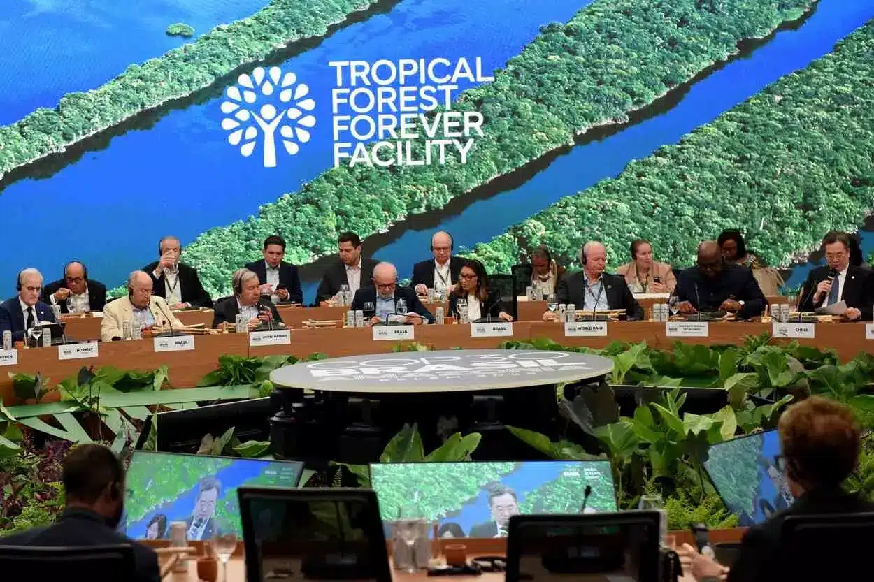 Preservação das florestas não é um item formal da agenda de negociação da COP30