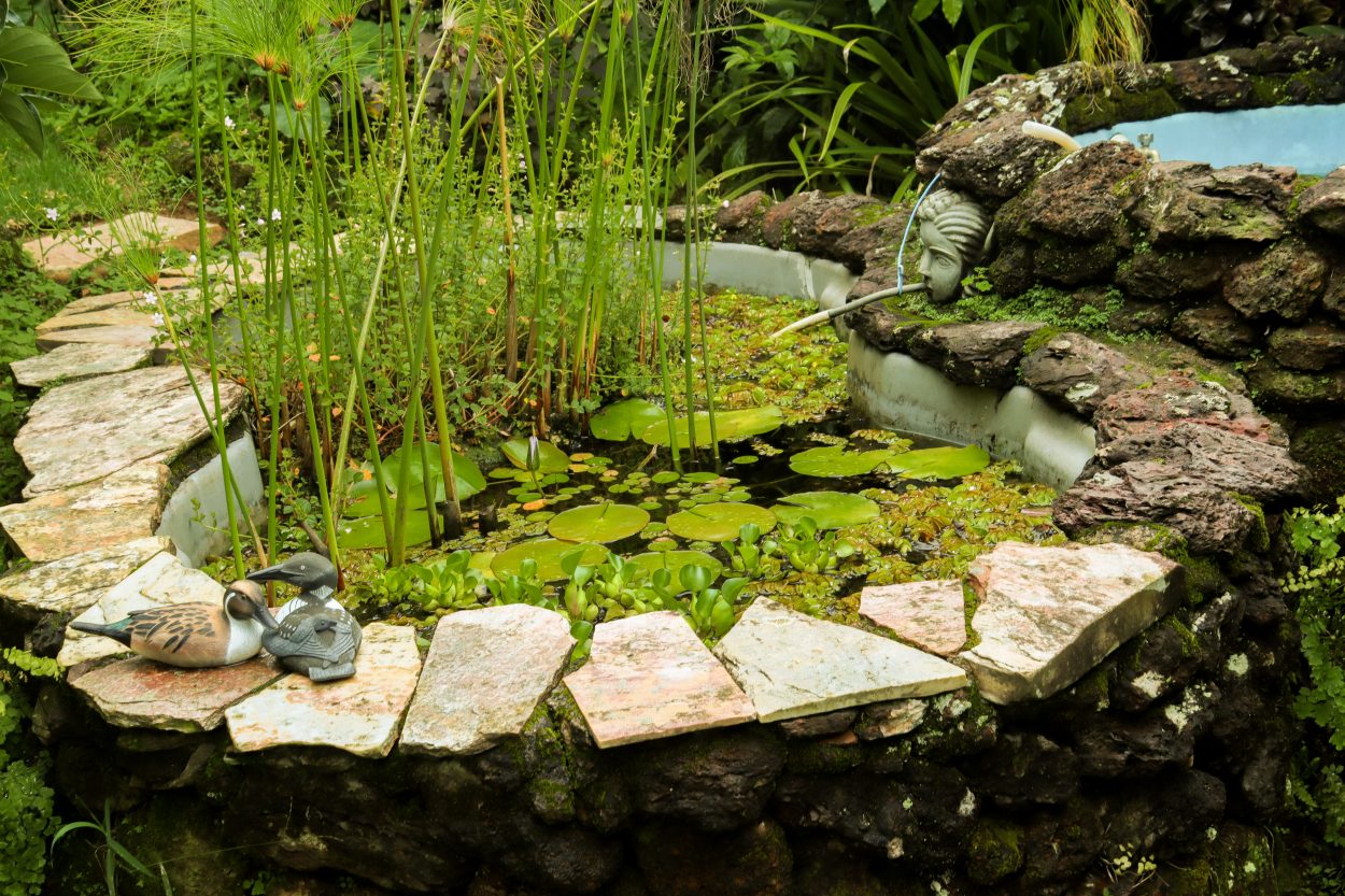 A imagem mostra um tanque para peixes construído por Regina.